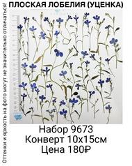 ee7dd28a74ce425fae00e4d3fd9bbc67