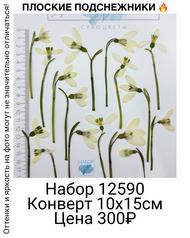 f00f362ad6e54da3bc378b39b297200b