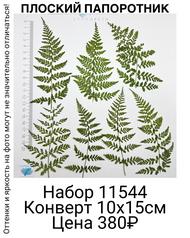 f605a1ebee9d4b1d99a33da11e1a7b16