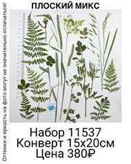 f9e2a717f2454f38b9ee049675e1a48e