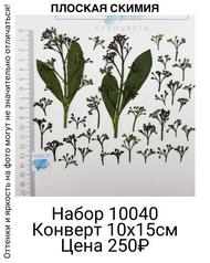 fc659f1fd282450bafd3101bbd793c84