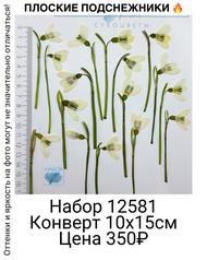 ffefcd55c323439bba7d05cd27710ce9