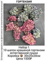 23e5c9af4984449fb4006697e06f259a