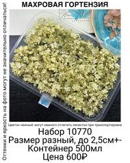 37cea5f665ea41b0bab3d0fd7a87673a