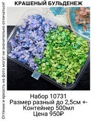 4aee0cbf7e9545b2adbc1227f7f74f0b