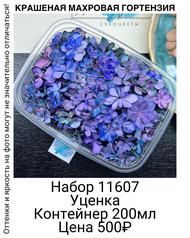 a19750634d9849ff8ae1401c33bfdbe4