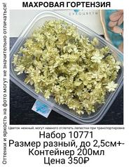 a33ddcc4c66c4e7fb7e54b845c3d41b3