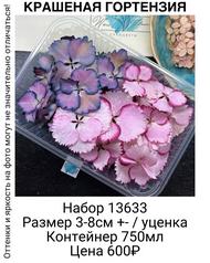 ce52df3ac42148d1987218507557a4d6