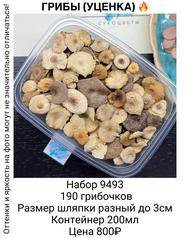 0ad75197a5b9409eaf8c8388487bdefb