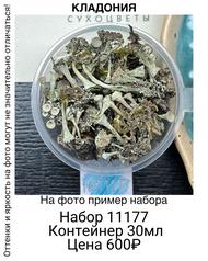 1b8803799b644256a971400bc48d07f0