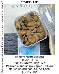 2e4cf137b2444f68a6ee282e2cab2fc1