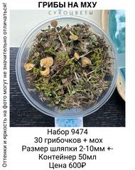 3f7bc0f32e31441d8dd794efcb49f34f