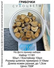 6521103453834c548669ff2c44f03639