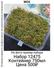 a4686251284d4c378ceb83d42907674e